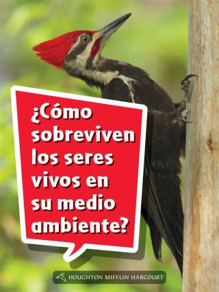 Cover image: ¿Cómo sobreviven los seres vivos en su medio ambiente? 1st edition 9780544077379