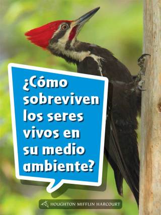 Cover image: ¿Cómo sobreviven los seres vivos en su medio ambiente? 1st edition 9780544077478