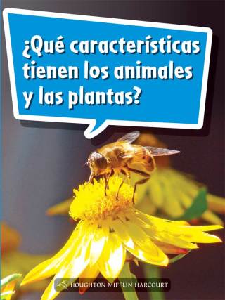 Cover image: ¿Qué características tienen los animales y las plantas? 1st edition 9780544077485