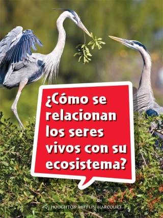 Cover image: ¿Cómo se relacionan los seres vivos con su ecosistema? 1st edition 9780544077805