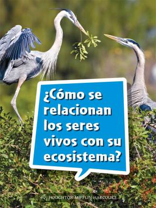 Cover image: ¿Cómo se relacionan los seres vivos con su ecosistema? 1st edition 9780544077911