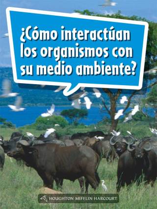 Cover image: ¿Cómo interactúan los organismos con su medio ambiente? 1st edition 9780544078277