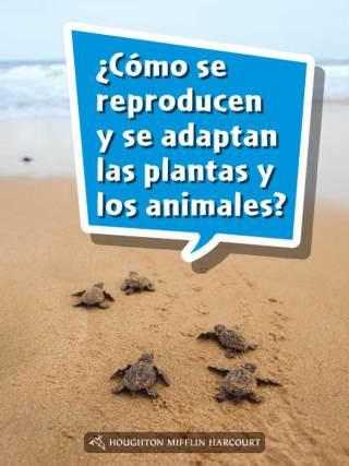 Cover image: ¿Cómo se reproducen y se adaptan las plantas y los animales? 1st edition 9780544078284