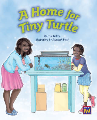 Cover image: A Home for Tiny Turtle 1st edition 9780544891531