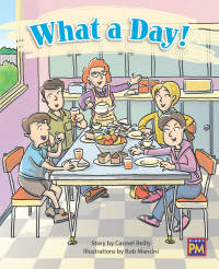 Cover image: What a Day! 1st edition 9780544891760