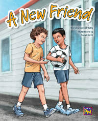 Cover image: A New Friend 1st edition 9780544891876