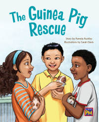 Cover image: The Guinea Pig Rescue 1st edition 9780544892378