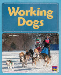 Cover image: Working Dogs 1st edition 9780544892446
