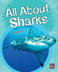 Cover image: All About Sharks 1st edition 9780544892521