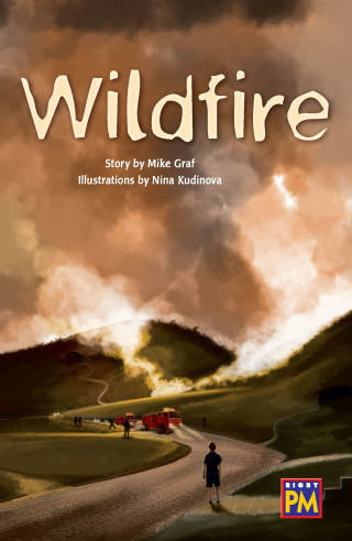 Cover image: Wildfire! 1st edition 9780544893085