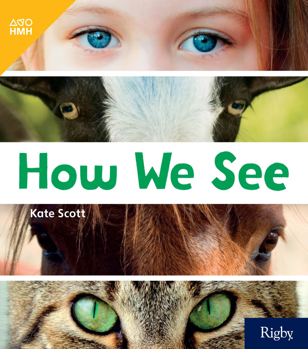 How We See 1st Edition