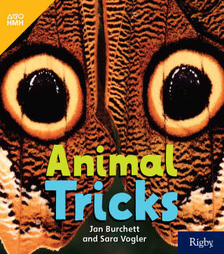 Cover image: Animal Tricks 1st edition 9780358261872