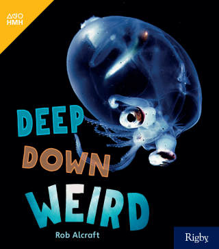 Cover image: Deep Down Weird 1st edition 9780358262701