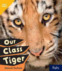 Cover image: Our Class Tiger 1st edition 9780358262756