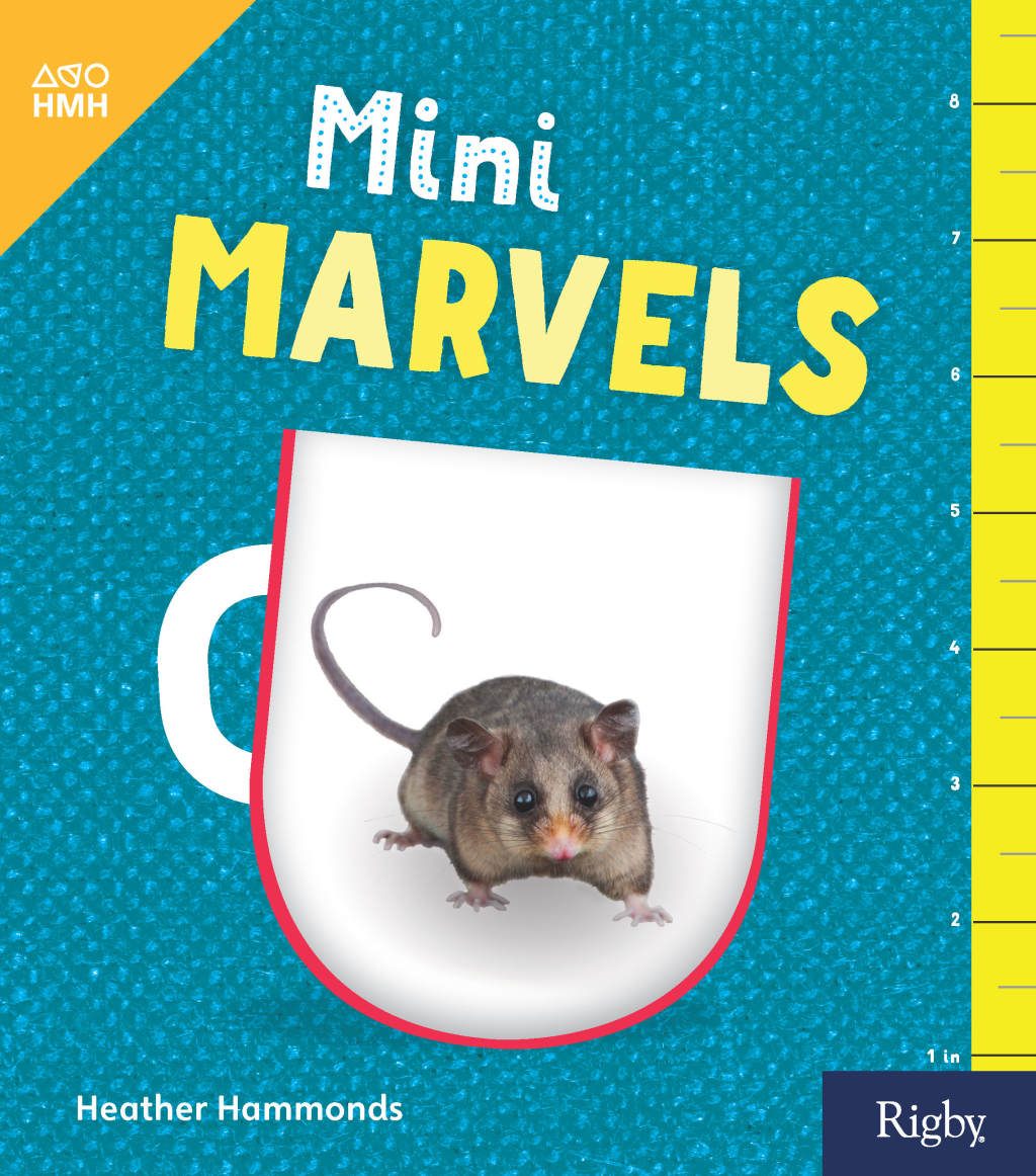 Mini Marvels 1st Edition
