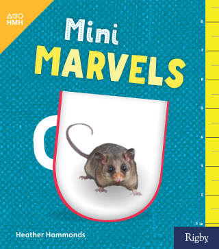 Cover image: Mini Marvels 1st edition 9780358262800