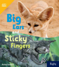 Cover image: Big Ears and Sticky Fingers 1st edition 9780358262855