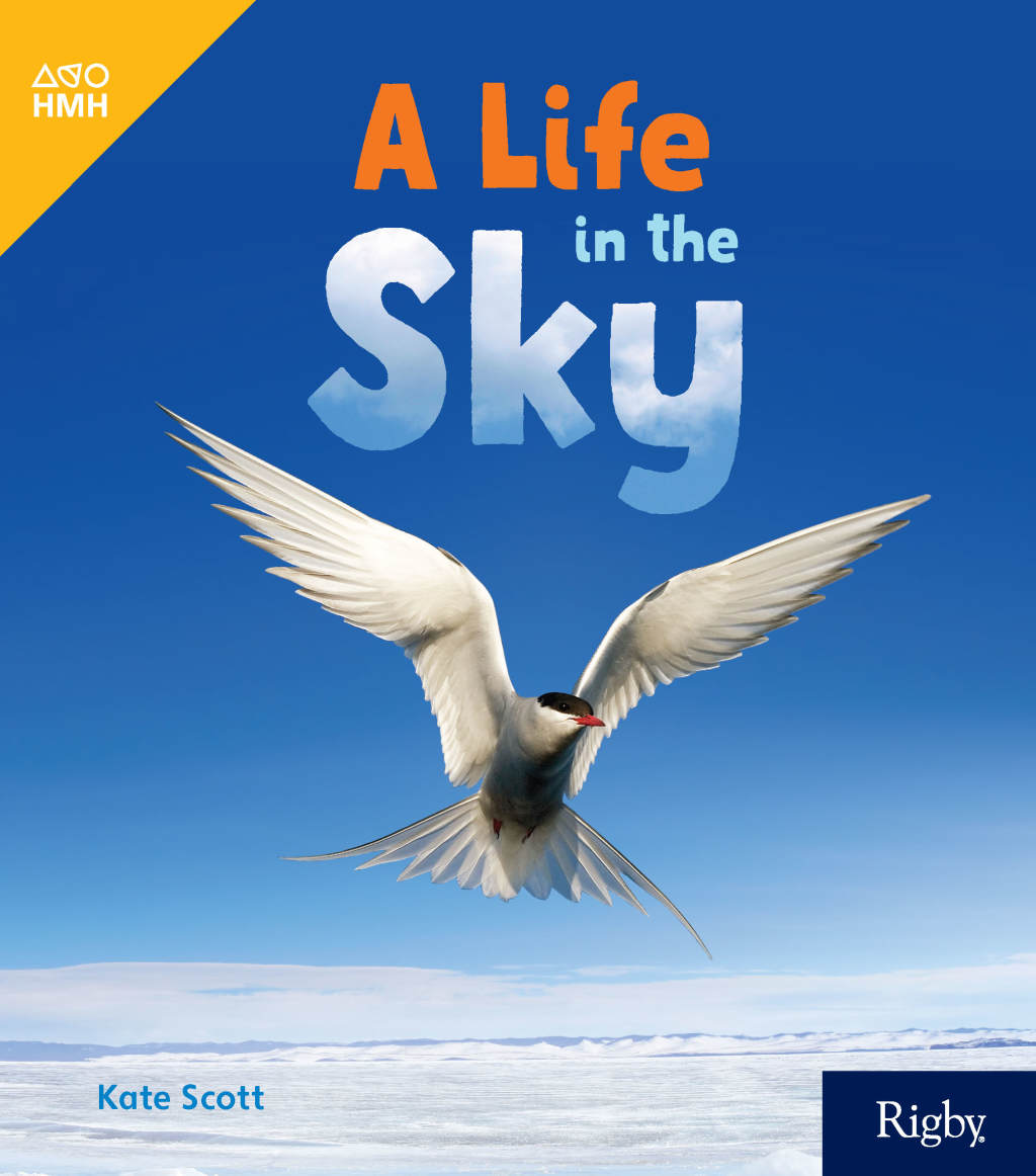 ISBN 9780358262947 product image for A Life in the Sky - 1st Edition (eBook) | upcitemdb.com