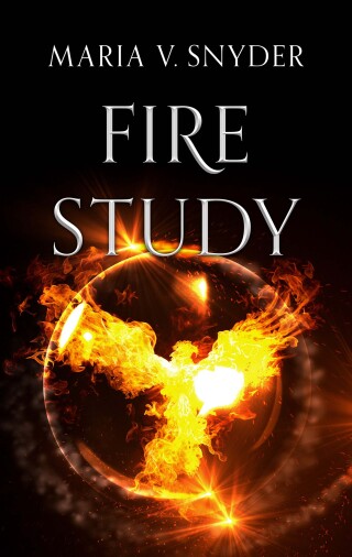 Cover image: Fire Study 9780778325345