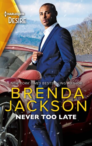 Cover image: Never Too Late 9780369704337