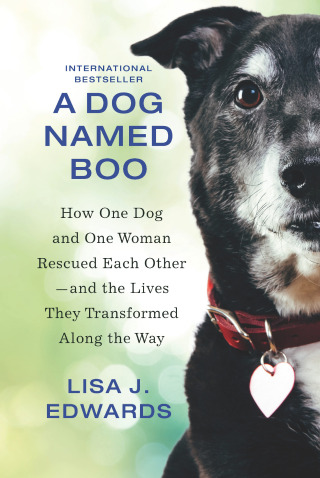 Cover image: A Dog Named Boo 9781335474063
