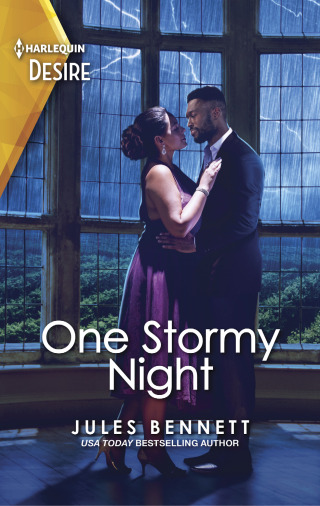 Cover image: One Stormy Night 9781335581853