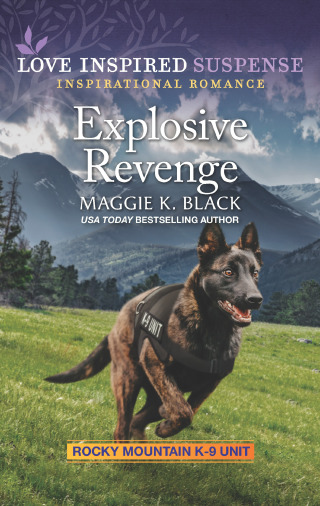 Cover image: Explosive Revenge 9781335587268