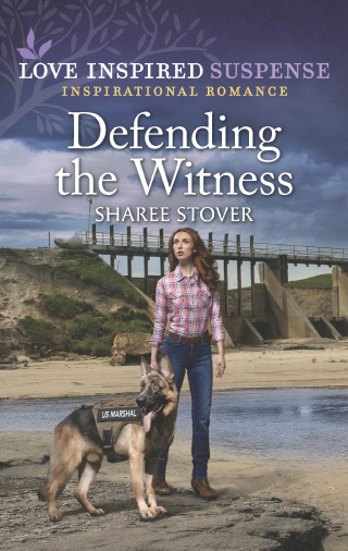 Cover image: Defending the Witness 9781335597533