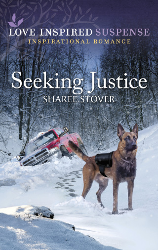 Cover image: Seeking Justice 9781335597656