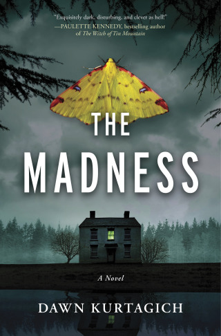 Cover image: The Madness 9781525809811
