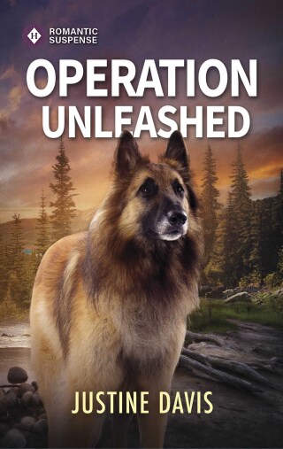Cover image: Operation Unleashed 9780373278732