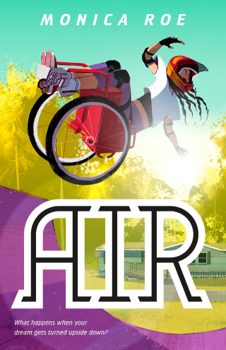 Cover image: Air 9780374388652