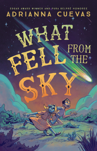 Cover image: What Fell from the Sky 9780374390457