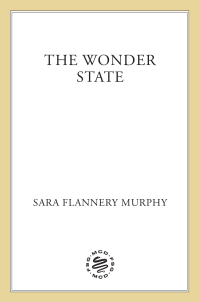Cover image: The Wonder State 9780374601775