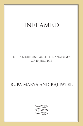 Cover image: Inflamed 9780374602512