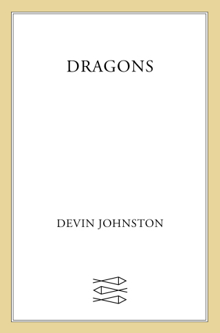 Cover image: Dragons 9780374607302