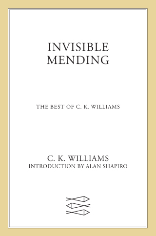 Cover image: Invisible Mending 9780374608392