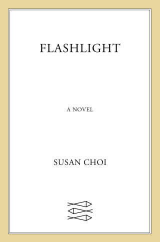 Cover image: Flashlight 9780374616373