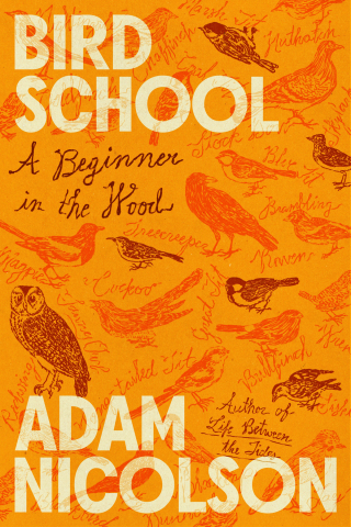 Cover image: Bird School 9780374617370