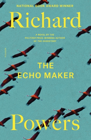Cover image: The Echo Maker 9780374146351