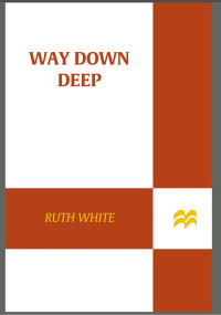 Cover image: Way Down Deep 9780312660963
