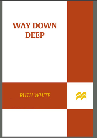 Cover image: Way Down Deep 9780374382513
