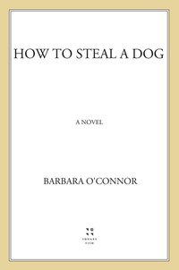 Cover image: How to Steal a Dog 9780312561123