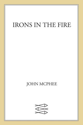Cover image: Irons in the Fire 9780374177263