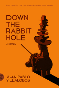 Cover image: Down the Rabbit Hole 9780374143350