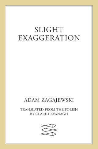 Imagen de portada: Slight Exaggeration 9780374265878