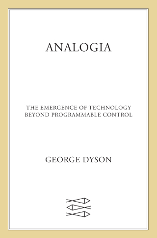 Cover image: Analogia 9780374104863