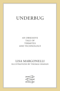 Cover image: Underbug 9780374282073