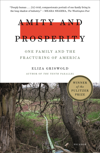 Cover image: Amity and Prosperity 9780374103118