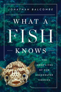 Cover image: What a Fish Knows 9780374288211